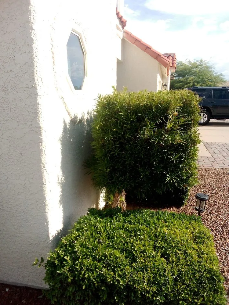 Affordable outdoor landscaping in Tucson, AZ by GP Landscaping