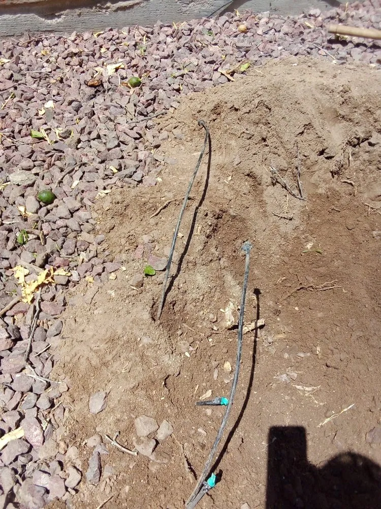 Affordable yard cleanup service experts serving Tucson, AZ - GP Landscaping