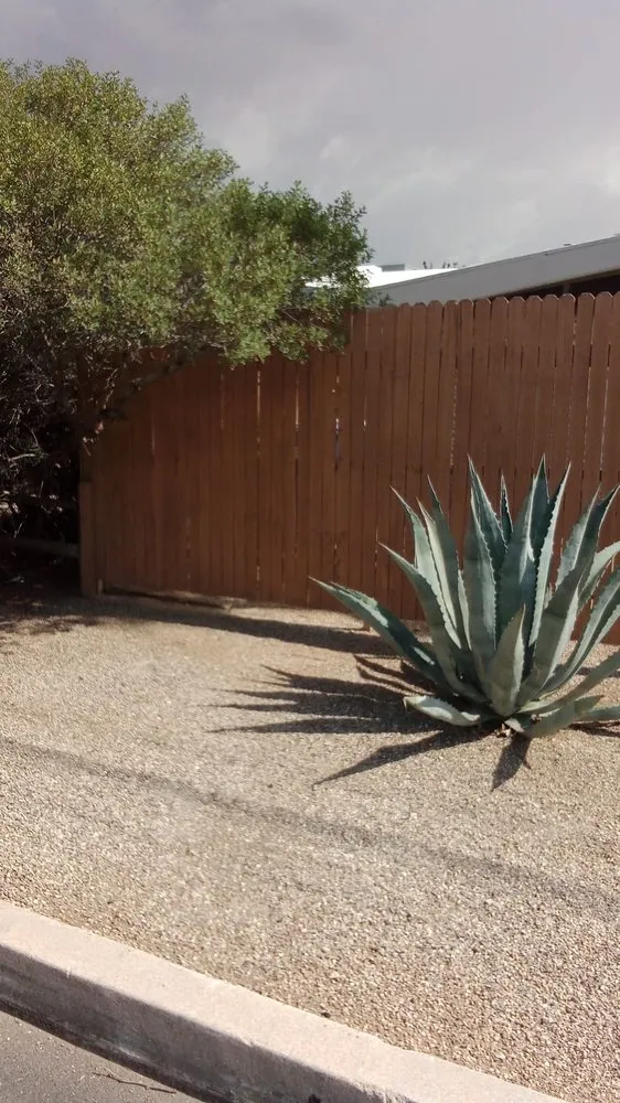 Trusted garden landscaping for residential properties in Tucson, AZ by GP Landscaping