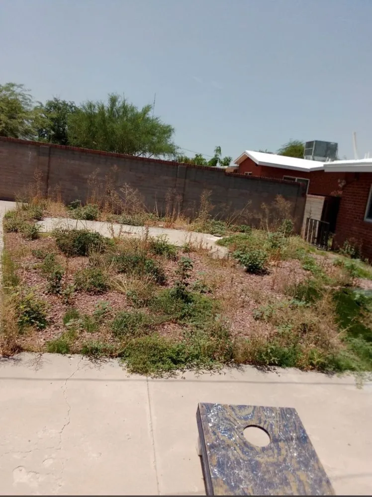 Trusted landscape installation in Tucson, AZ - GP Landscaping