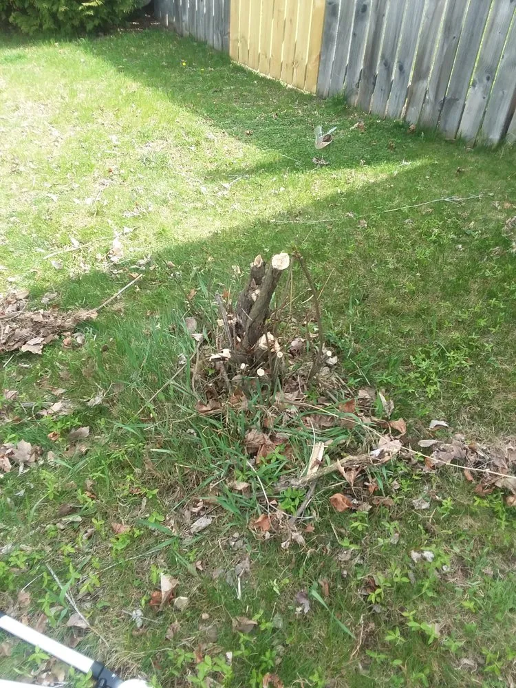 Local residential landscaping in La Crosse, WI - GP Lawn Barber