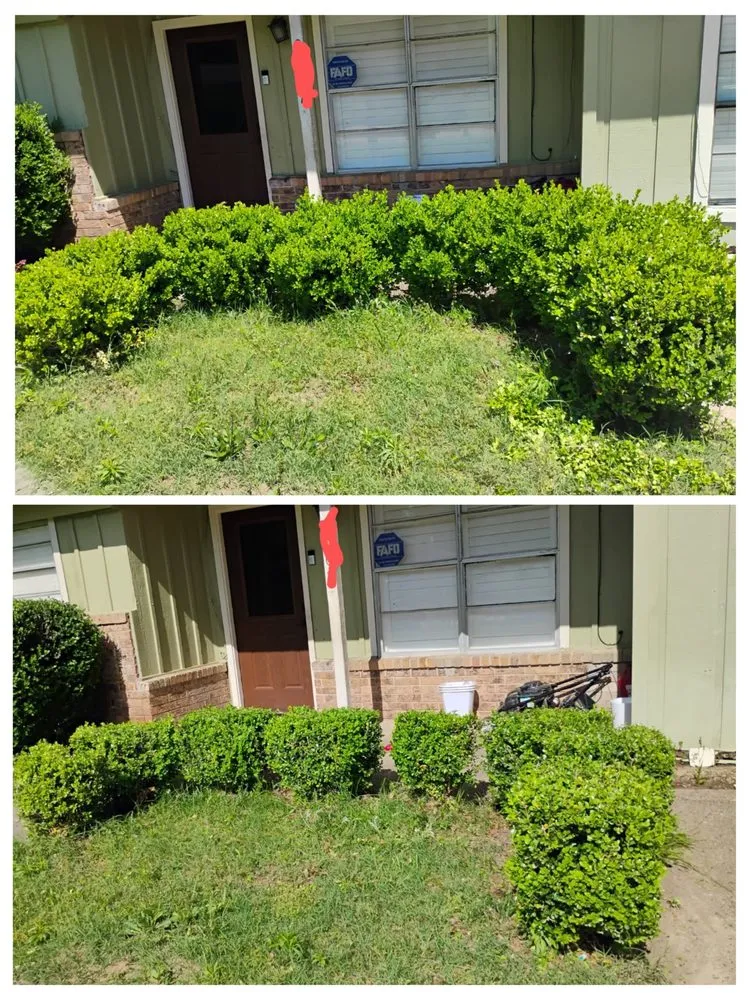 Professional outdoor landscaping for year-round maintenance across Texarkana, AR - GP Lawn care and LW Pressure washing