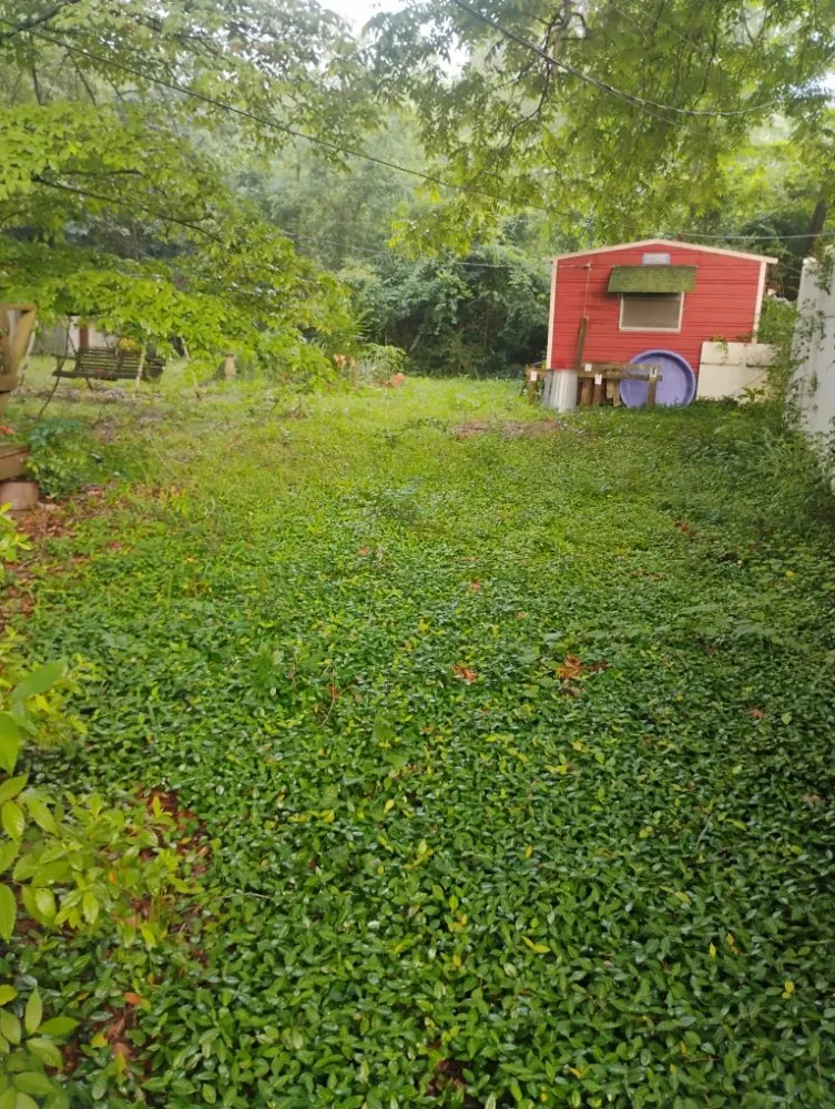 Expert residential landscaping experts serving Texarkana, AR - GP Lawn care and LW Pressure washing