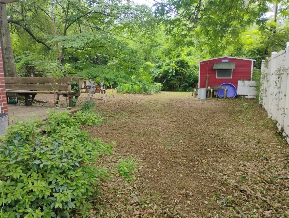 Local landscape installation for year-round maintenance in Texarkana, AR by GP Lawn care and LW Pressure washing