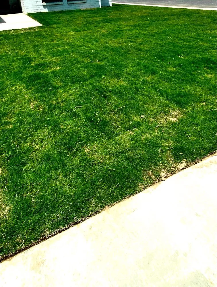 Professional landscape design experts serving Ropesville, TX - GP Lawn Services