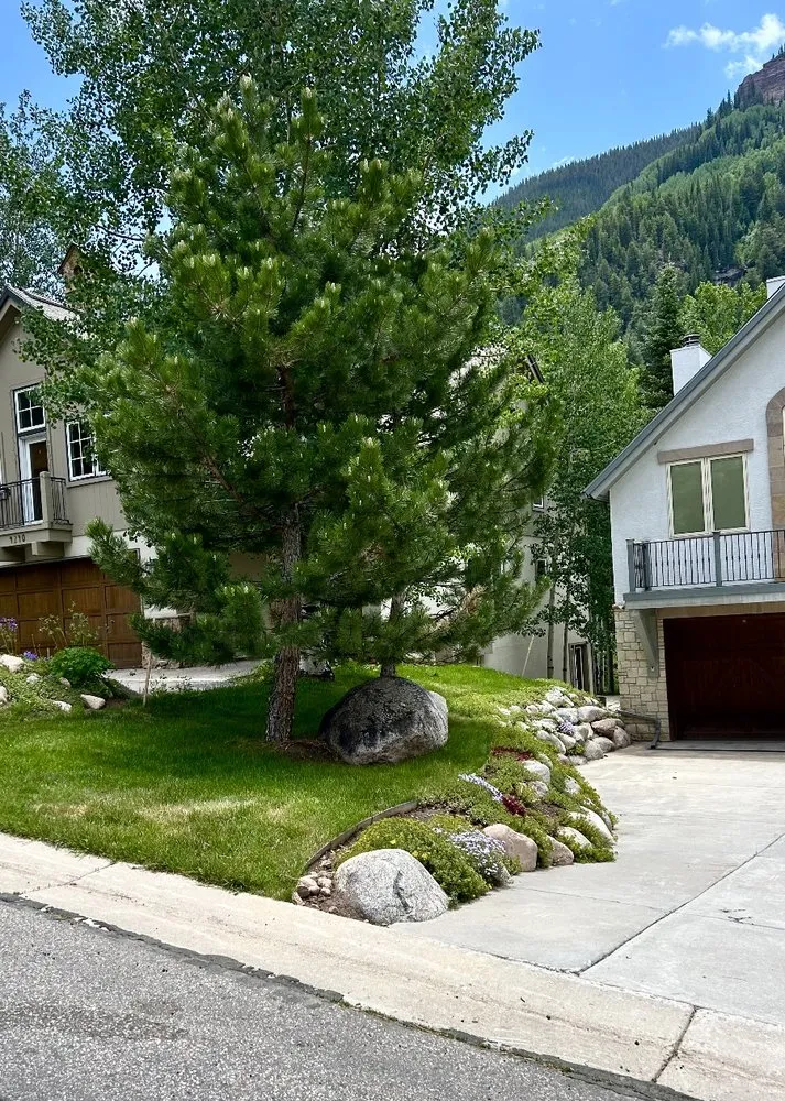 Local yard cleanup service experts serving Avon, CO - GP Property Services