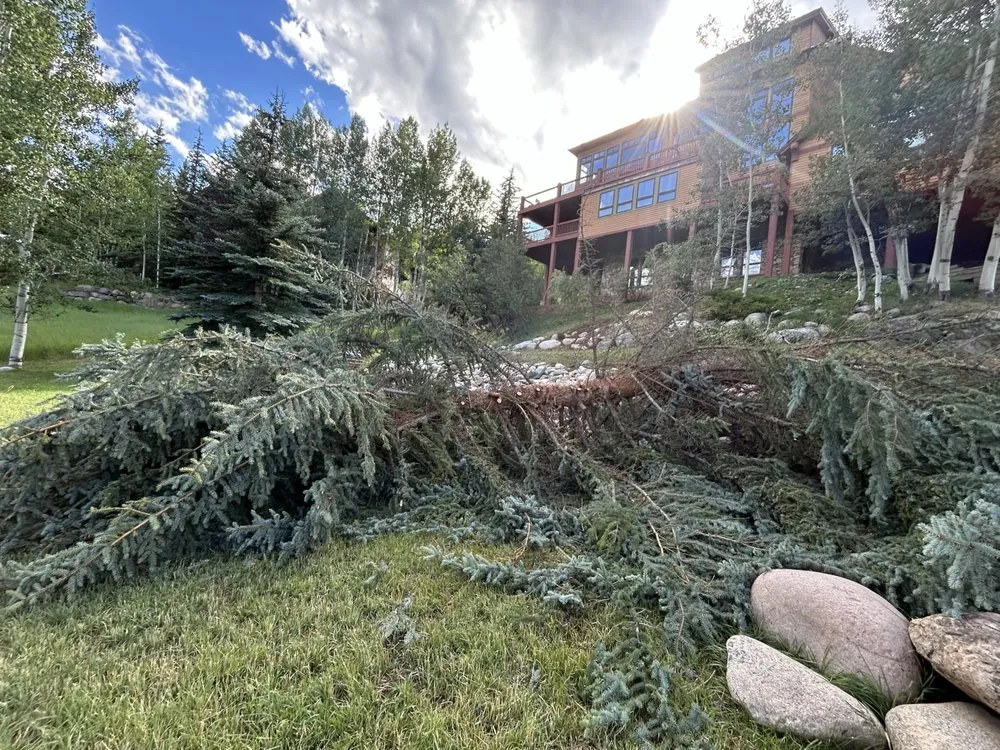 Reliable residential landscaping for residential properties in Avon, CO by GP Property Services