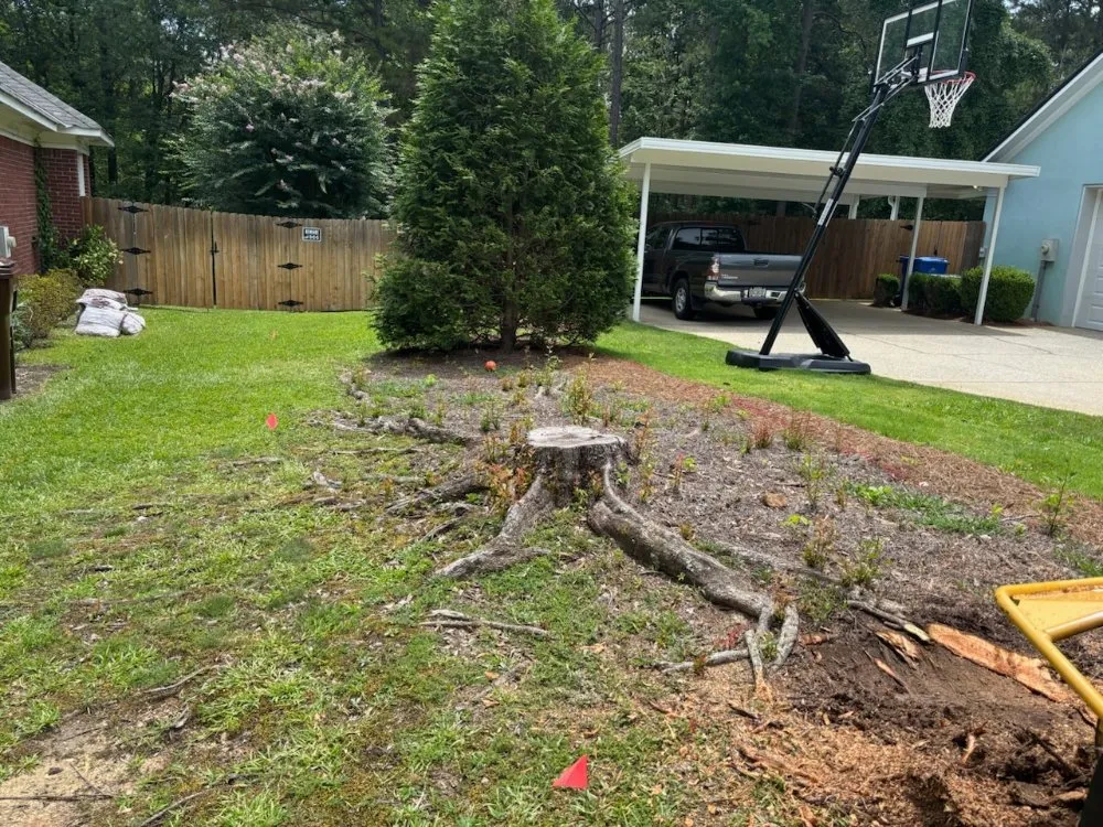 Professional landscaping services for outdoor upgrades across Fortson, GA - GP Stumps and Equipment