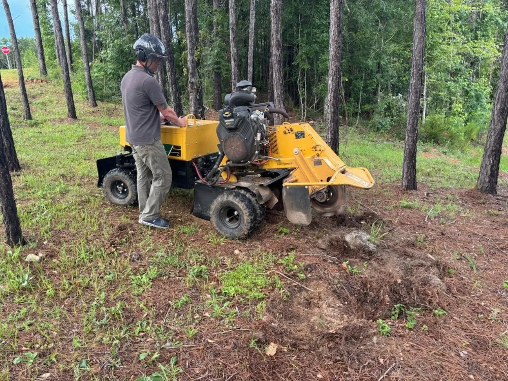 Top-rated lawn mowing service in Fortson, GA - GP Stumps and Equipment