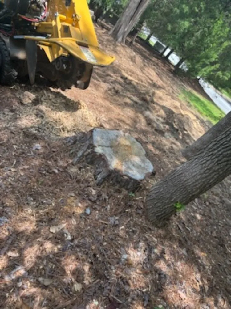 Reliable landscape installation experts serving Fortson, GA - GP Stumps and Equipment