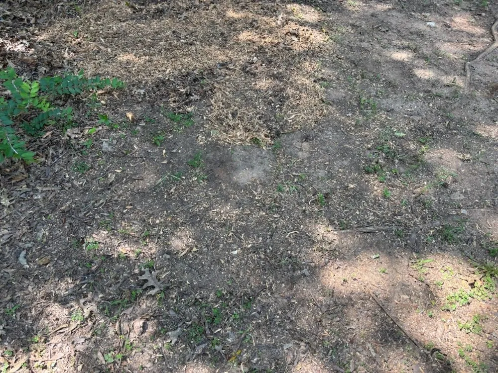 Trusted lawn mowing service in Fortson, GA by GP Stumps and Equipment