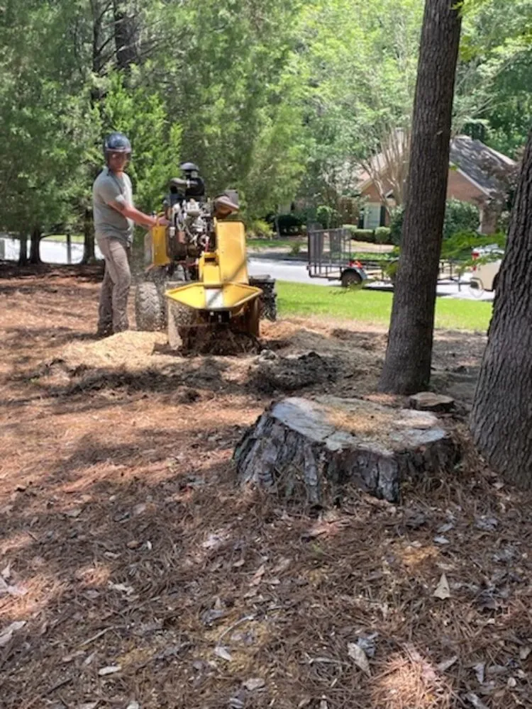 Custom landscape design experts serving Fortson, GA - GP Stumps and Equipment