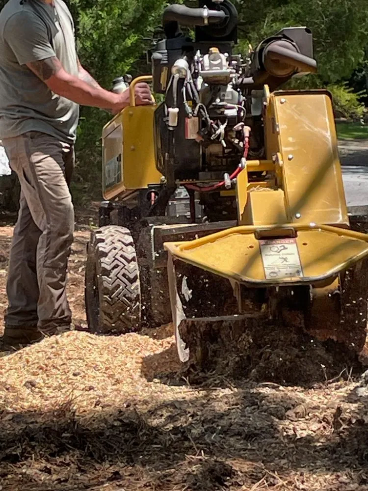 Reliable outdoor landscaping near you in Fortson, GA by GP Stumps and Equipment