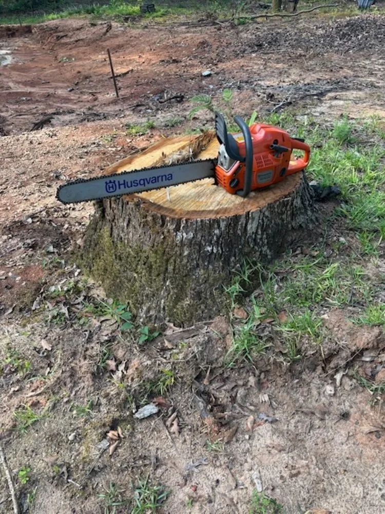 Professional yard cleanup service with custom design in Fortson, GA by GP Stumps and Equipment