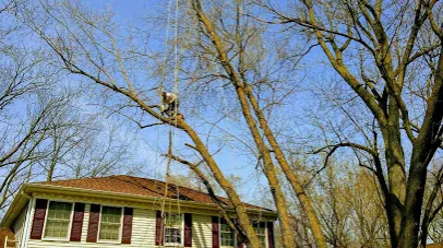 Local outdoor landscaping experts serving Carpentersville, IL - GP Tree Service and Landscaping