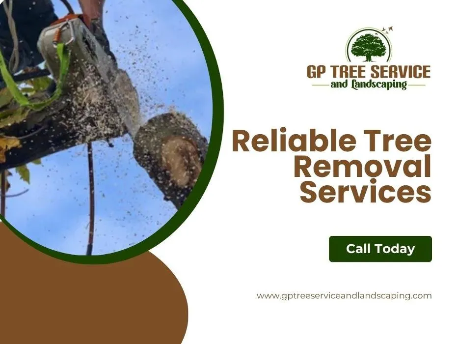 Custom yard cleanup service near you in Carpentersville, IL by GP Tree Service and Landscaping