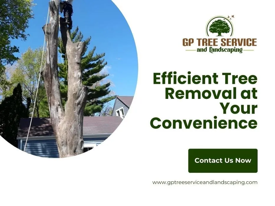 Local residential landscaping in Carpentersville, IL - GP Tree Service and Landscaping