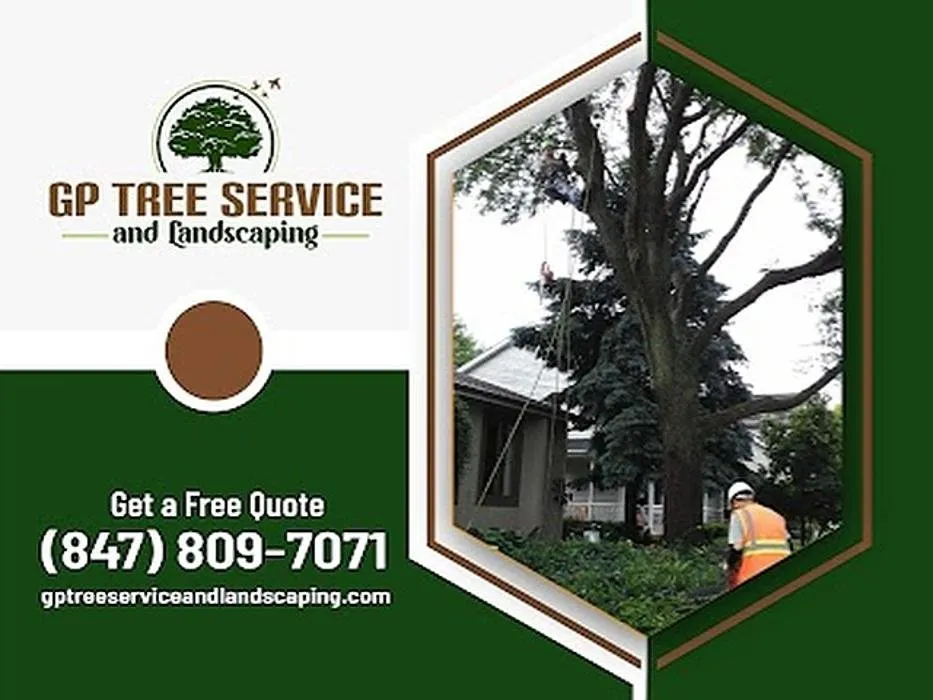 Top-rated lawn mowing service for residential properties in Carpentersville, IL by GP Tree Service and Landscaping