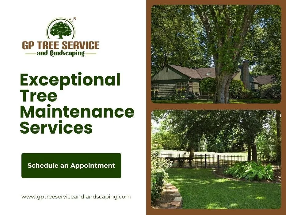 Professional yard maintenance in Carpentersville, IL by GP Tree Service and Landscaping