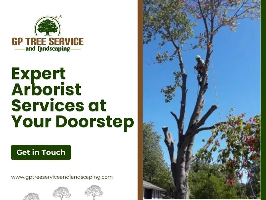Expert outdoor landscaping with custom design across Carpentersville, IL - GP Tree Service and Landscaping