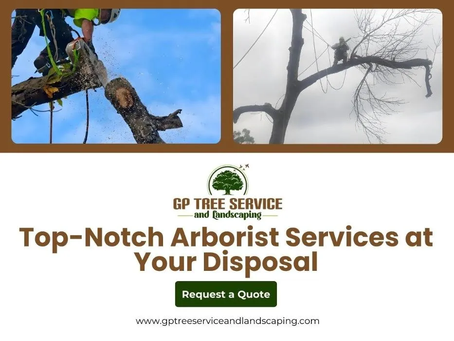 Top-rated yard cleanup service in Carpentersville, IL - GP Tree Service and Landscaping