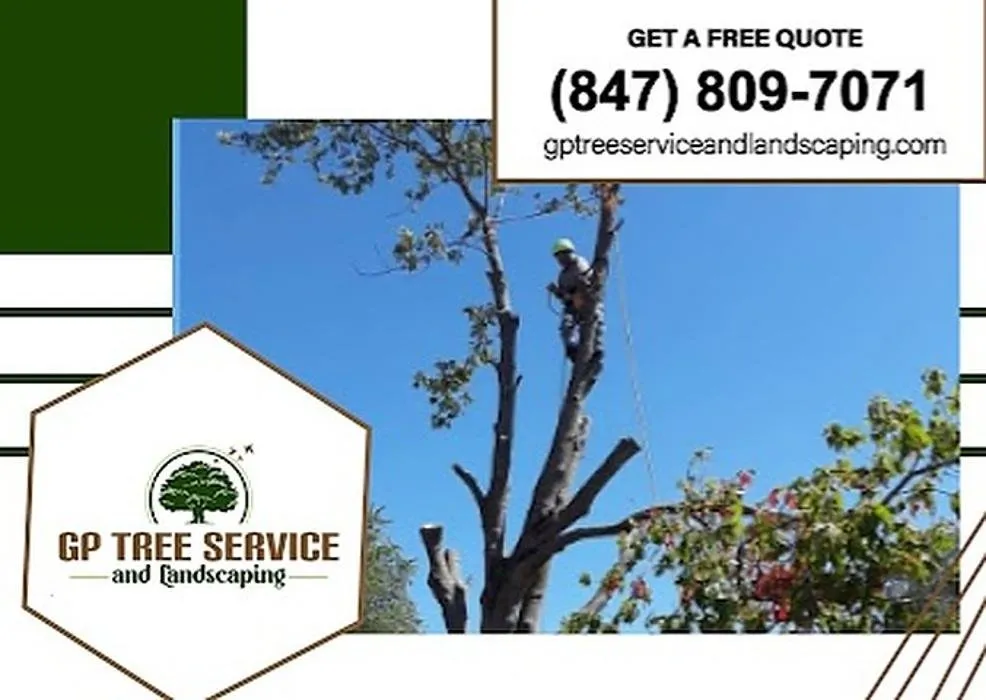 Top-rated yard maintenance in Carpentersville, IL - GP Tree Service and Landscaping