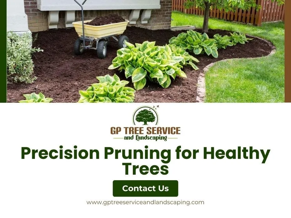 Expert yard maintenance in Carpentersville, IL by GP Tree Service and Landscaping