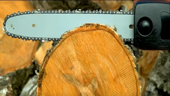 Expert lawn care service experts serving Carpentersville, IL - GP Tree Service and Landscaping