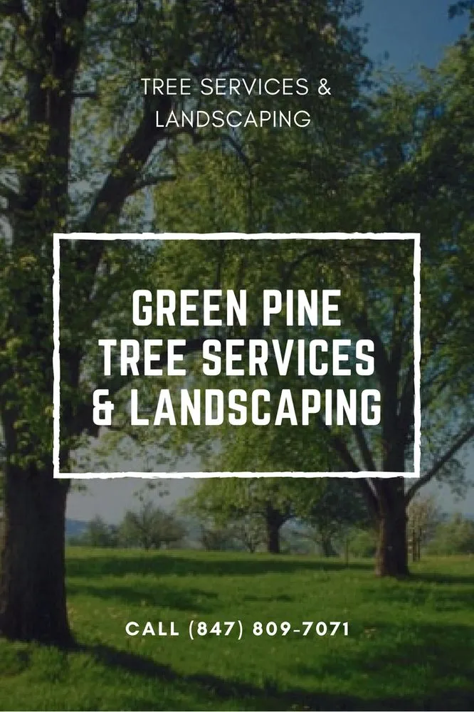 Affordable lawn care service for homes across Carpentersville, IL - GP Tree Service and Landscaping