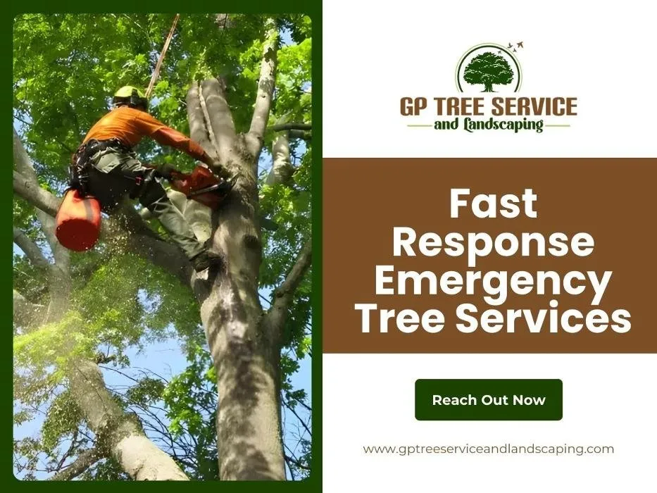 Expert garden landscaping for year-round maintenance in Carpentersville, IL by GP Tree Service and Landscaping