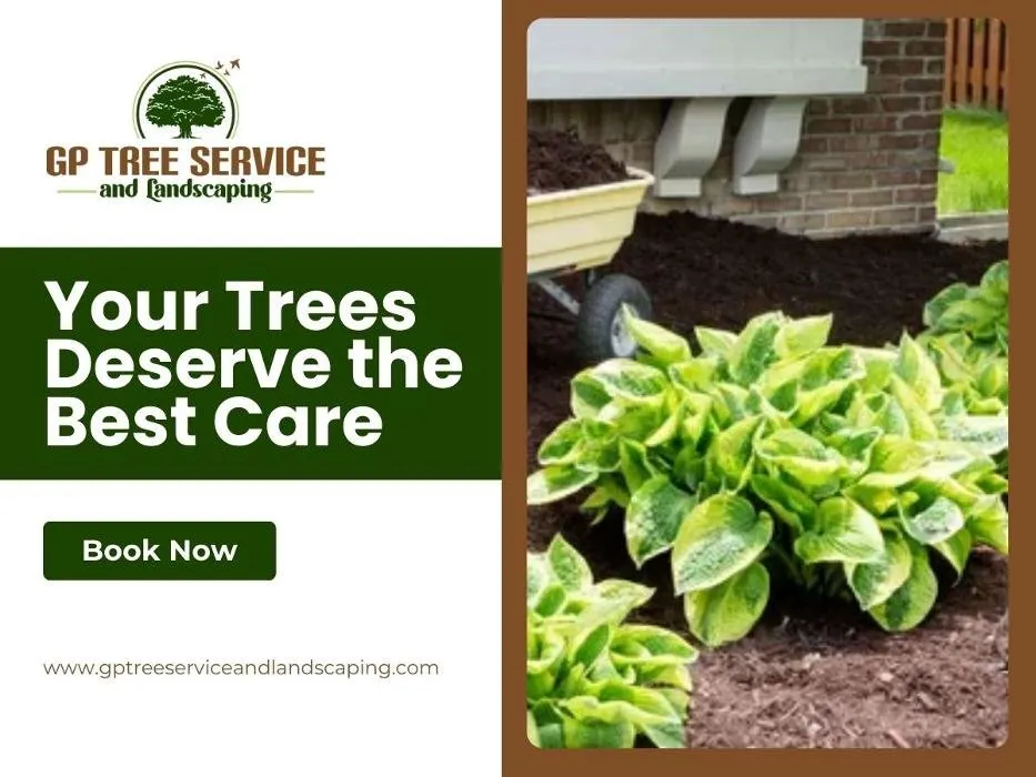 Professional landscape design in Carpentersville, IL - GP Tree Service and Landscaping