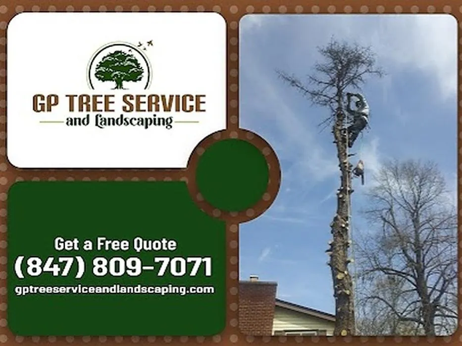 Affordable landscape design in Carpentersville, IL by GP Tree Service and Landscaping