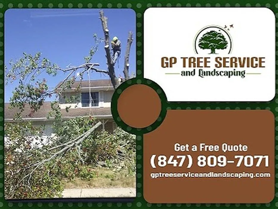 Reliable landscaping services in Carpentersville, IL by GP Tree Service and Landscaping