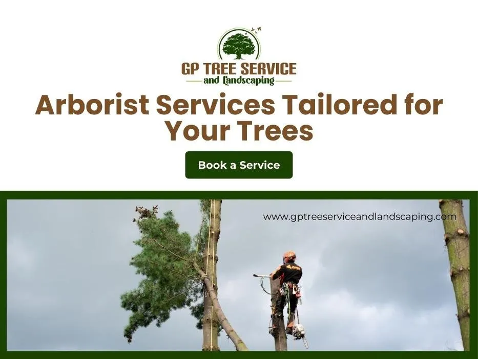 Professional lawn mowing service in Carpentersville, IL - GP Tree Service and Landscaping