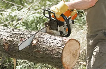 Custom residential landscaping experts serving Carpentersville, IL - GP Tree Service and Landscaping