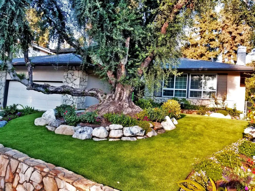 Top-rated yard cleanup service experts serving Los Angeles, CA - GPD