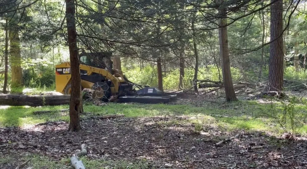 Professional yard cleanup service for residential properties across Lehighton, PA - GPI Forestry