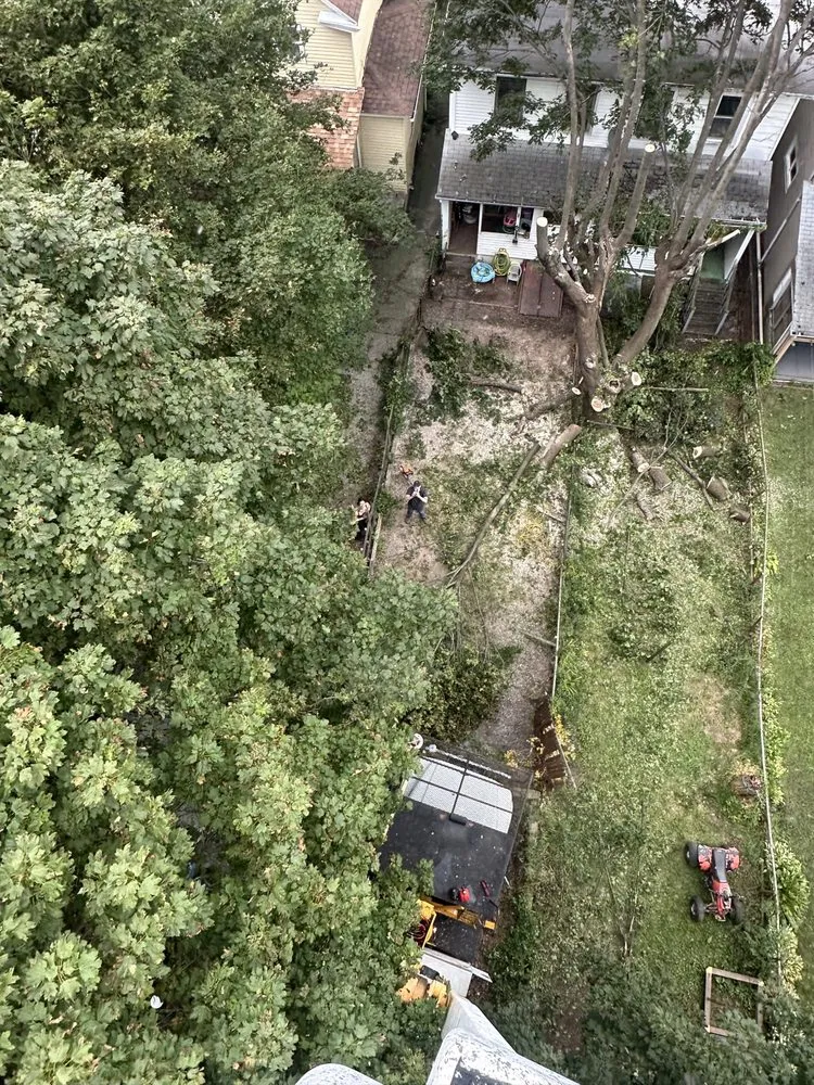 Local yard cleanup service in Lehighton, PA by GPI Forestry