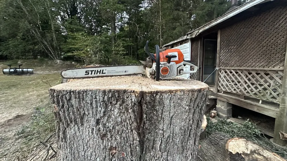 Local lawn mowing service for year-round maintenance in Lehighton, PA by GPI Forestry