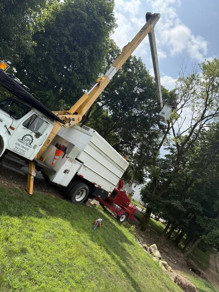 Local landscape design for outdoor upgrades in Lehighton, PA by GPI Forestry