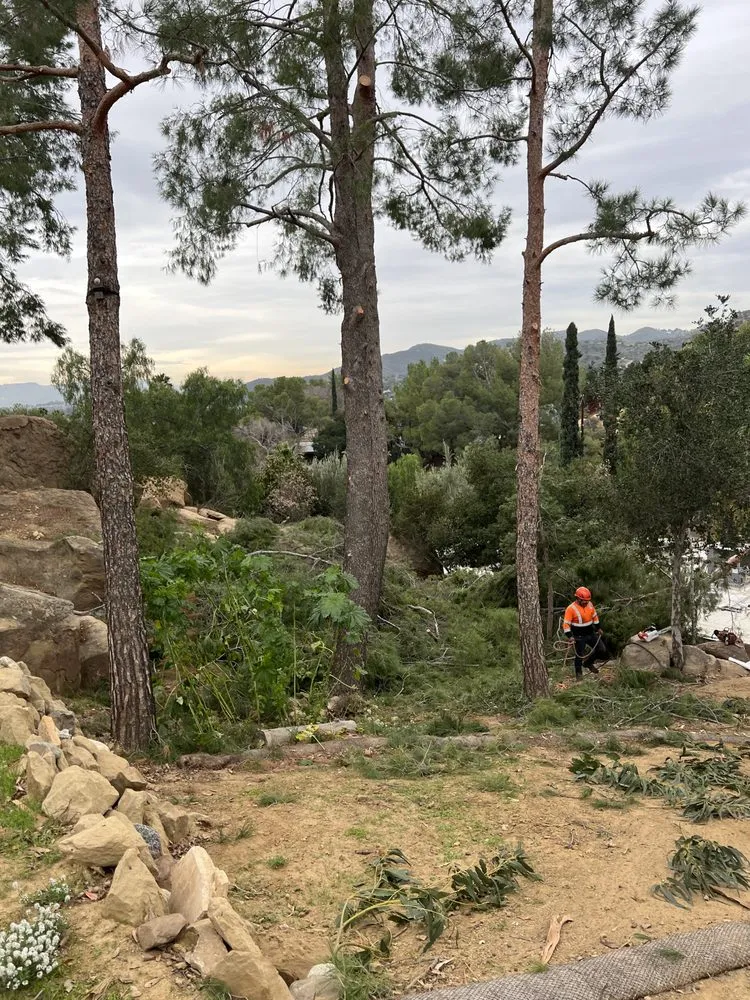 Reliable garden landscaping for outdoor upgrades in Alhambra, CA by GPL Horticulture