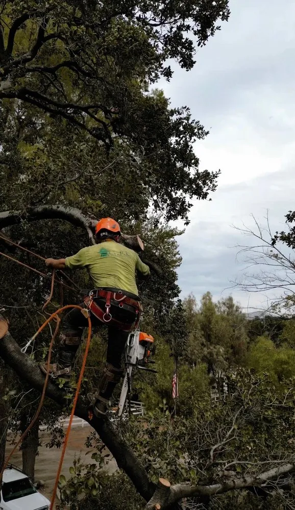 Top-rated outdoor landscaping for residential properties across Alhambra, CA - GPL Horticulture
