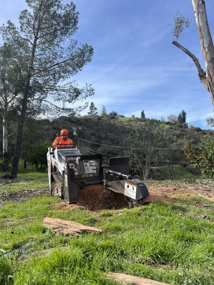 Professional landscape design experts serving Alhambra, CA - GPL Horticulture