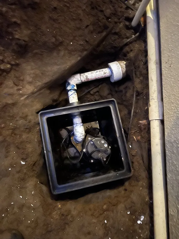 Custom garden landscaping in Alhambra, CA - GPL Horticulture