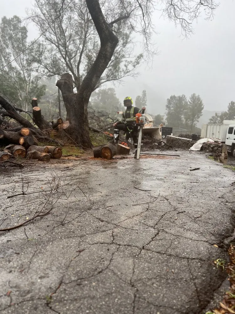 Top-rated garden landscaping for year-round maintenance in Alhambra, CA by GPL Horticulture