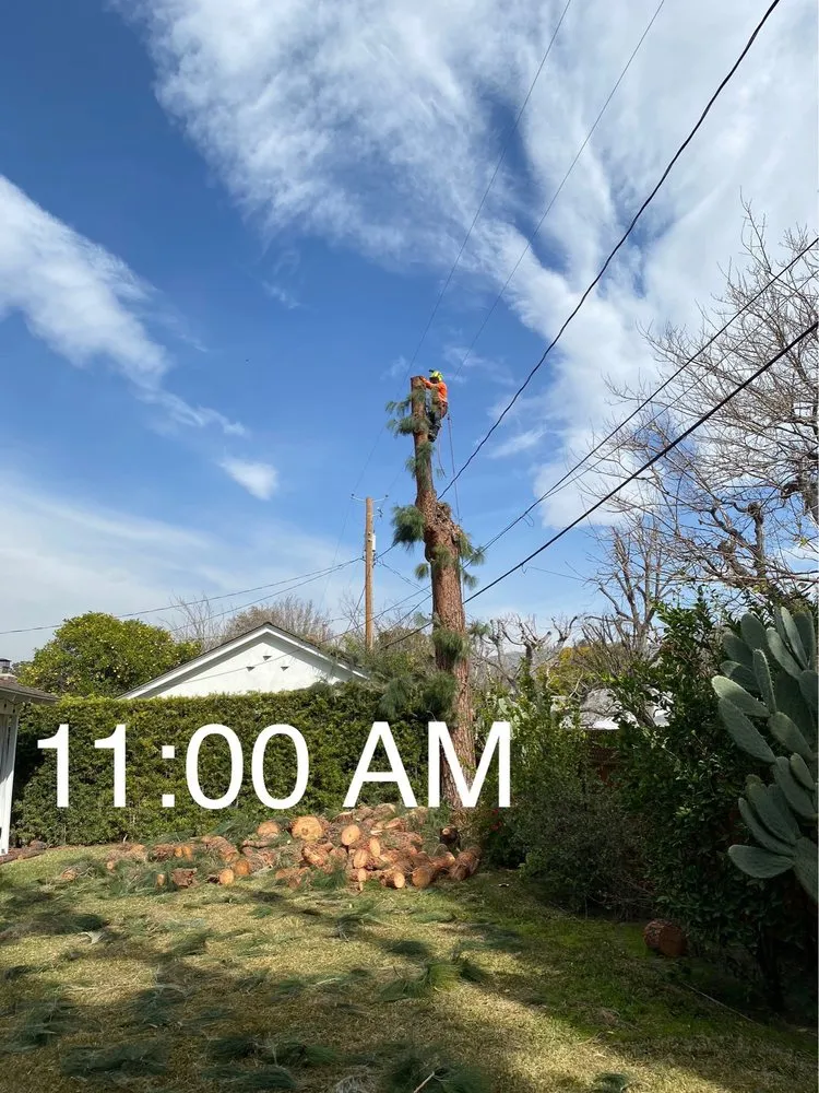 Reliable residential landscaping for homes across Alhambra, CA - GPL Horticulture