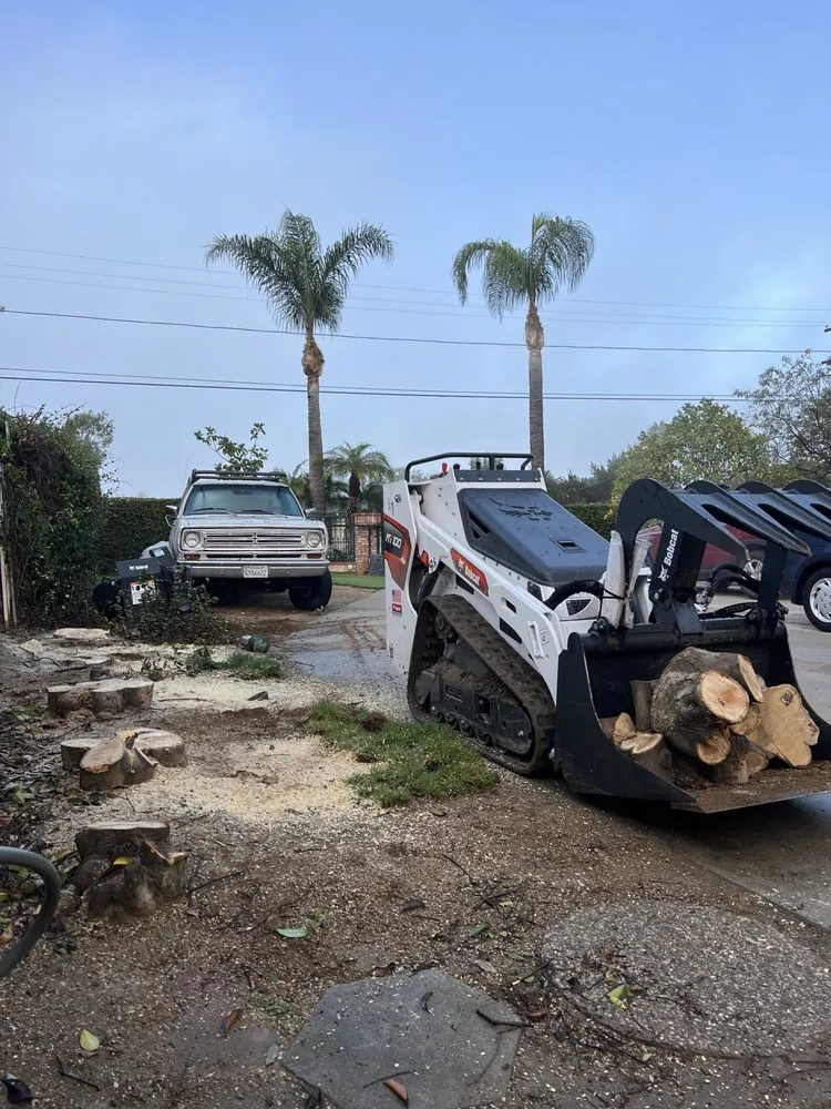 Top-rated yard maintenance in Alhambra, CA by GPL Horticulture