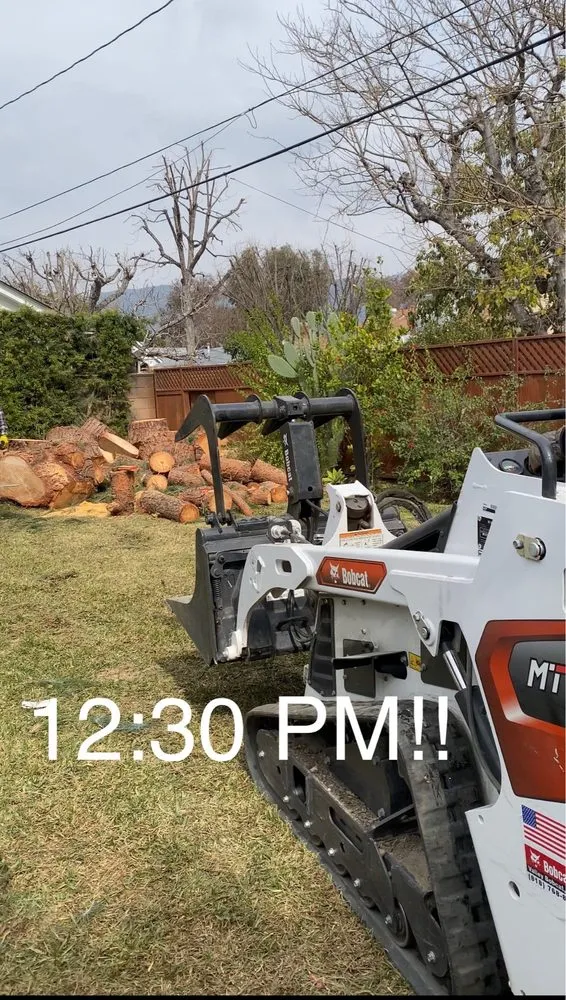 Local residential landscaping in Alhambra, CA - GPL Horticulture