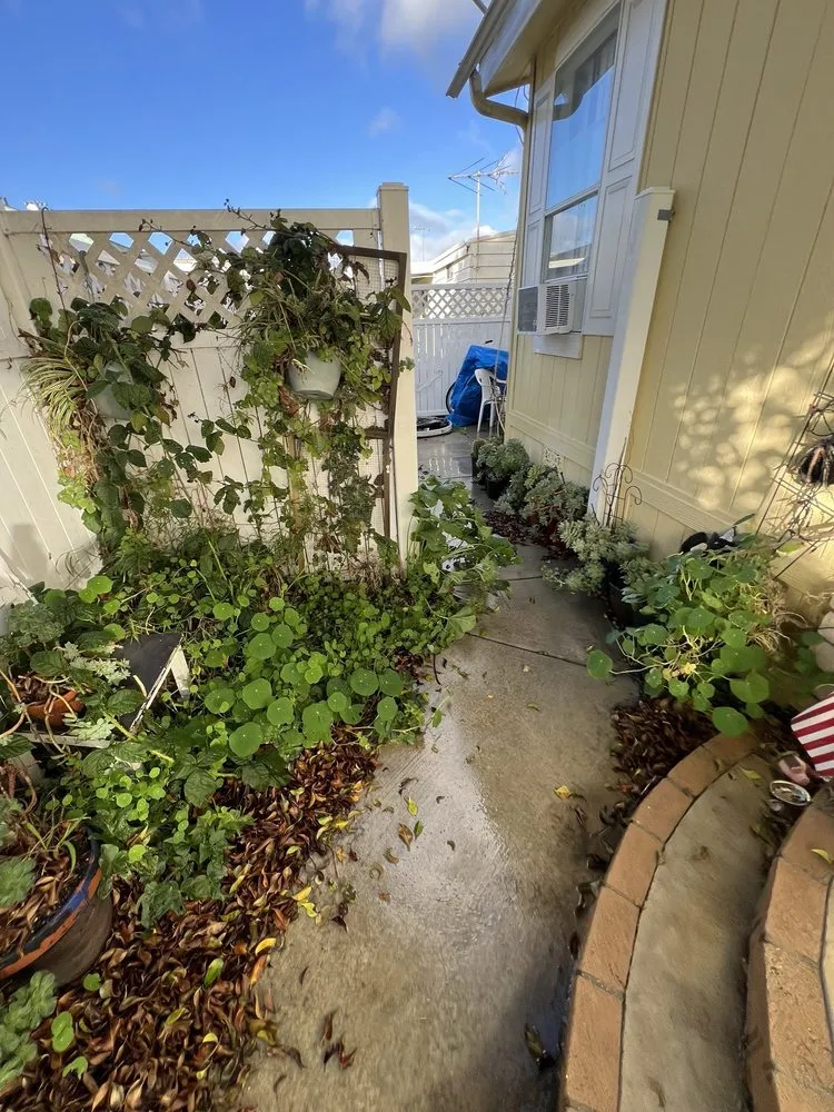 Top-rated yard maintenance in Lake Forest, CA - GPR Brothers Construction & Landscaping