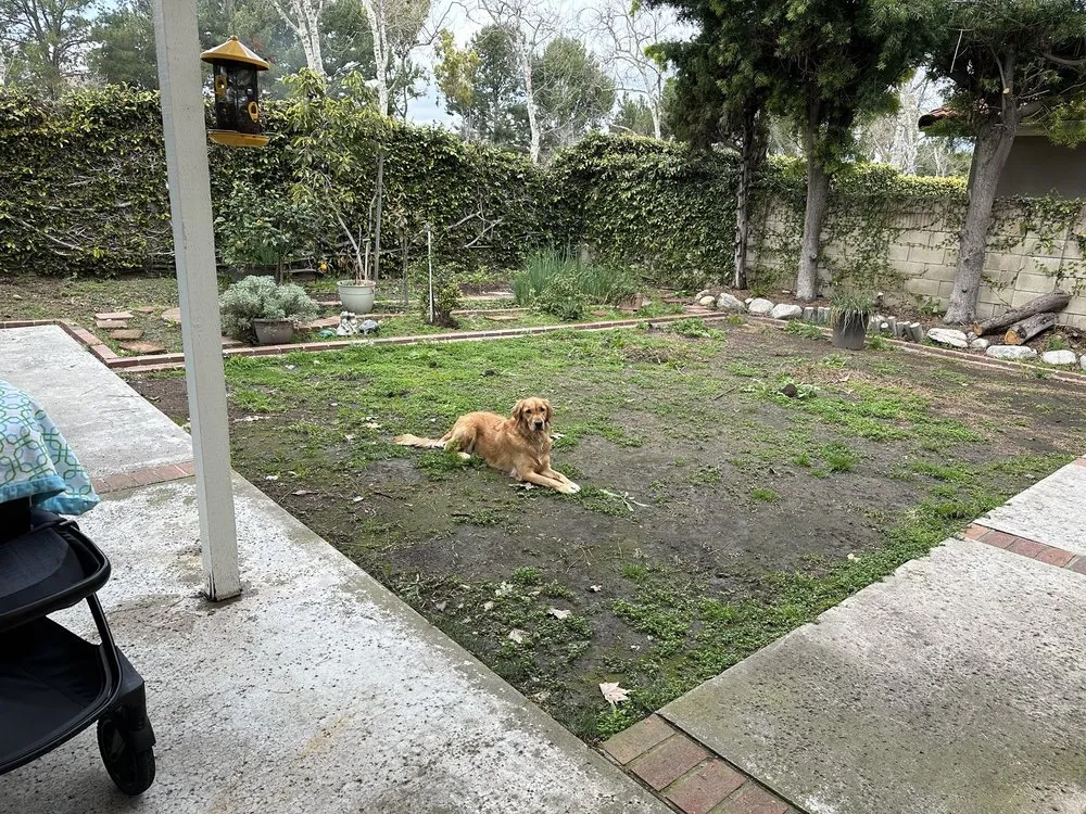 Professional residential landscaping for beautiful yards across Lake Forest, CA - GPR Brothers Construction & Landscaping